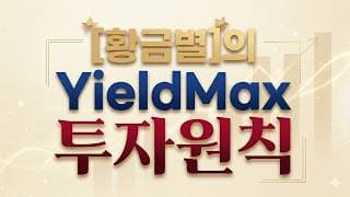 일드맥스 투자원칙과 CONY MSTY NVDY PLTY TSLY 4월 3번째 배당정보