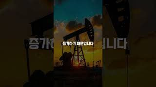 유가 100달러 돌파하면 월가가 사는 종목