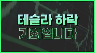 테슬라 실적 발표 이후 이렇게 하세요