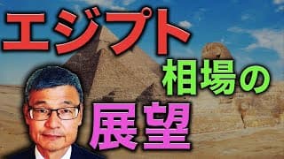【じっちゃま】エジプト相場の展望は？どこに注目すべき？