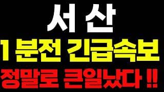 [서산 주가전망]🔴1분전속보 정말로 큰일났다!! 주주님들 꼭 보세요! #서산 #서산주가 #서산주가전망