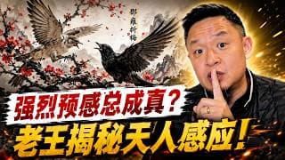 莫干山爆胎预示散伙？老王揭秘真实“天人感应”：邵雍的《梅花易数》到底有多恐怖？老王来了：#梅花易数 #邵雍 #周易算命 #玄学 #真实灵异 #预知未来 #量子力学#大老王 #预感 #吸引力法则