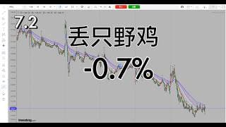 今天没有多头机会，丢只野鸡就没做观看了