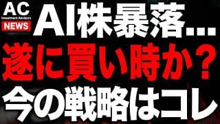AI株暴落続くが、流石に下げすぎてるのでそろそろ底かを検討します
