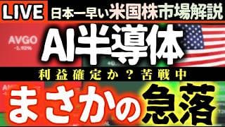 【おはぎゃー】🚀AI半導体が軒並み２ケタの急落！Metaが逆襲開始！ 【米国株で朝活投資】日本一早い米国株市場解説 朝4:30～夏時間