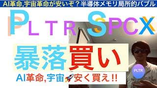 PLTRパランティアSPCXスペースX「魂の暴落買い」[半導体メモリは局所的バブルだ]今は安いAIソフト宇宙を買い叩け。株価は長期で急騰上昇する保有し続けろ【全力次のテスラ】株価テンバガー１００倍狙え