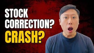 Stock Correction or Crash?