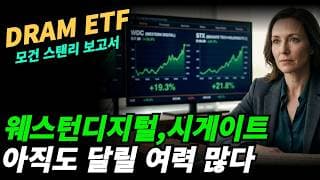 (DRAM) 지금시장의 주도ETF는 여전히 상승 가능성 많다