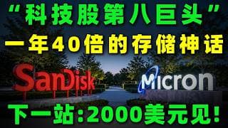 错过2024英伟达？2026推理爆发将是你最后翻身的绝对底牌！独家拆解存储双雄万亿级财富密码，看懂这三套股价推演图，把握AI时代的终极红利！SNDK,MU#美股 #投資 #trading #存储