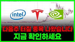 한번 터져볼래? (테슬라 엔비디아 인텔 AMD 코어위브 오라클 코인베이스 아이온큐...