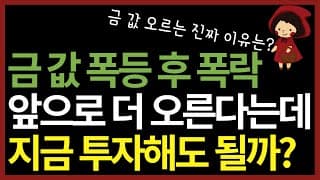 금 사상 최고치 후 폭락, 앞으로 더 오른 다는데.. 지금 사도 될까? (ft. 금 투자 방법, ACE KRX 금현물 ETF)