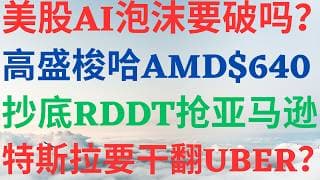 美股1194|美股AI泡沫要破了?高盛梭哈AMD,目标$640!抄底RDDT,它要抢亚马逊饭碗了?特斯拉要干翻UBER了吗? #amd #rddt #tsla #美股 #美股分析