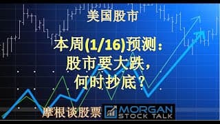 【24004】今年AI热要降温，MSFT,AAPL,NVDA,TSLA要大跌？哪支股票会大涨？