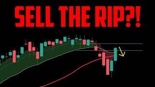 STOCK MARKET UPDATE FOR 4/8/26