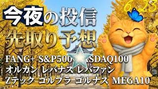 今日はあいつが最高値？FANGはちょっと待つか。半導体は待てない！ ゴールドには胃薬が必要だ 今日の旅ソングはソウル・明洞ご飯！【今夜の投信予想】