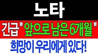 [노타 주가전망] 💥집중💥긴급 "앞으로 남은 6개월" 희망이 우리에게 있다! #노타주가전망 #노타목표가 #노타