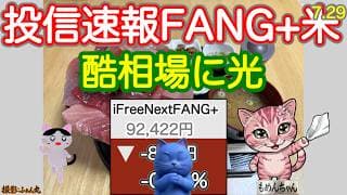 今日は半導体は大きくさげてハイテク受難! モメンタム銘柄酷すぎる FANG+投信はどうかな？一方S&P500投信は最高値にニアピン。あ！インドモメンタムがー　【投信確定速報】