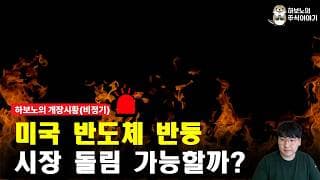 [시황] 미국 반도체 돌림... 우리나라도 진격 가능할까?