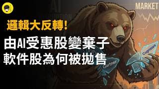 由AI受惠股變棄子! 2026年軟件類股票為何被集體拋售? 連科技巨頭也被拖累?《投資唔講廢話》Ep276【阿樂】