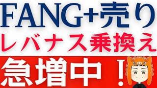 【FANG+売って】レバレッジNASDAQ100を買うべき？