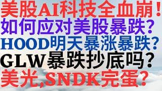 美股1205|美股AI科技全血崩!如何应对美股暴跌?HOOD明天暴涨还是暴跌?GLW暴跌抄底吗?美光,SNDK完蛋了? #mu #sndk #glw #hood #美股 #美股分析