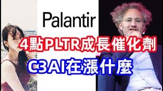 【美股PLTR】Palantir的競爭對手，誰將主宰AI大數據？EP115【CC字幕】