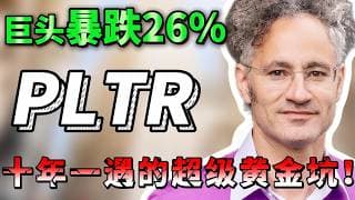 全网唱空的PLTR，可能是你这一生错过的最大机会！暴跌26%，聪明钱疯狂布局！错过后悔一辈子，必看！   PLTR#美股 #抄底 #trading
