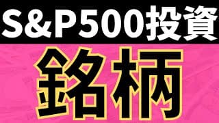 【S&P500】eMAXIS SlimとSBI･Vの同時購入のメリット・デメリット