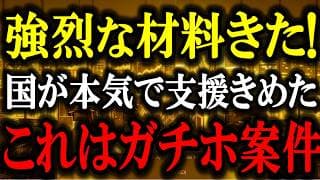 これはガチホ案件！国から『最大30億円』の神支援が決定！あの国策ド真ん中の超本命銘柄がヤバすぎる！