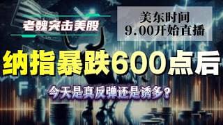 美股解析｜纳指暴跌600点后，今天是真反弹还是诱多？#美股 #英伟达 #甲骨文 #英特尔 #特斯拉 #soun #苹果 #投資  #crcl  #amd