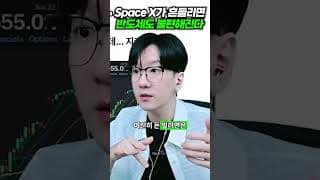 Space X가 흔들리면 반도체도 불편해진다