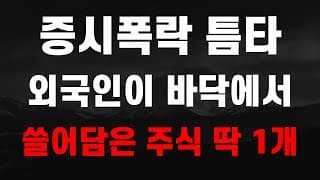 [주식] 증시폭락 틈타 외국인이 바닥에서 쓸어담은 주식 딱 1개! [미국주식, 트럼프 주식, 머스크 관련주, AI주식]