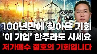 [주식] 100년만에 찾아온 매수기회 '이 기업' 한주라도 사세요 저가매수 절호의 기회입니다! [미국주식, AI관련주, AI대장주]