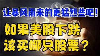 让暴风雨来的更猛烈些吧...！如果美股下跌，该买哪只股票？