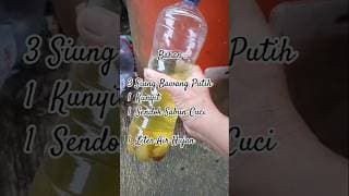 TERBUKTI AMPUH CEGAH HAMA/PREDATOR PEMAKAN DAUN JAMBU DAN MATOA