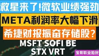 救星来了!微软业绩强劲！META利润率大幅下滑！希捷财报振奋存储股? MSFT SOFI BE STX VRT！07292026 #美股 #股票 #美股分析 #投資