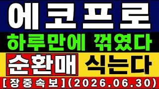 [에코프로 주가 전망] 긴급🚨 되돌림 출회…2차전지 순환매 "진짜 끝일까" "정밀분석" 지금 담아도 되나? 앞으로의 전망 및 대응타점 총공개