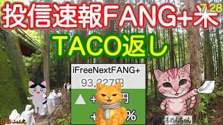 待ちTACO来ず！FANG+投信はプラスだが、SOXL＋NASDAQ100は被弾🫠 世界の半導体銘柄がやばい。日本も韓国も！🙀　週末ビッグ決算まで持ち堪えたい！【投信確定速報】
