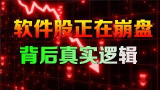 美股软件股正在崩盘，市场开始害怕什么？MSFT TEAM PLTR APP DDOG ......