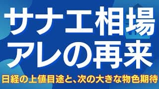 【サナエノミクスはアベノミクス急騰の再来】 次の狙い目、日経の上値目途や調整の条件、無双だったドイツDAXやインドNIFTYの状況 #日経平均 #サナエノミクス #アベノミクス #日本株 #株式投資