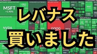 【購入報告】「レバナス40万円分買いました」