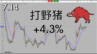 打野猪了，看看明天接下来几天能不能打野牛