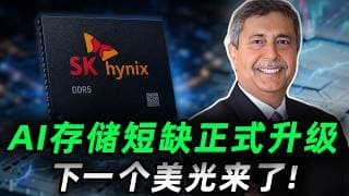 苹果继续引爆存储板块！AI缺口正式升级!美光之后，谁最可能接棒?我把整个存储行业重新梳理了一遍，答案有点出乎意料...MU,SNDK,WDC,STX#trading #投資 #美股