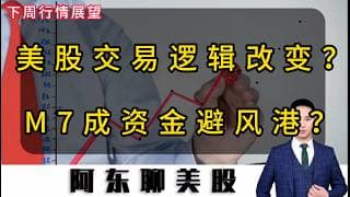 美股避险情绪升温！交易逻辑发生改变？M7成资金避风港？#美股#股票#存储芯片#科技股大跌#半导体#SNDK#美股操策略#美股下周走势分析#