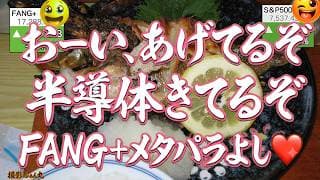 半導体よし、FANG+よし、ゴールドよし。テスラ、メタ、パランティアがなんだか良い！梅雨明け間近！まぢか！【米国株ニュー 新NISA攻略】