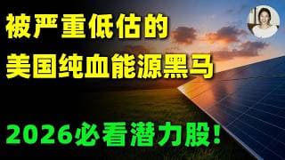 这只闷声拿下AI缺电红利的美国能源黑马，凭什么让核能明星股集体失色？市值仅20亿，未来3年有望迎来第二波行情？TE,OKLO,SMR#美股 #投資 #trading #能源 #太阳能 #光伏