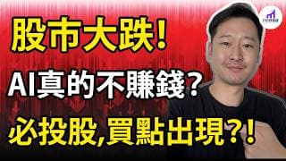 【買入機會出現！？】AI竟然不賺錢！真的嗎？這份財報，為你揭開答案。【D的財富鏈】