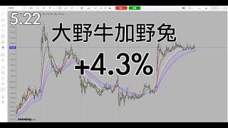 波段趋势判断加日内的结合，野牛加野兔