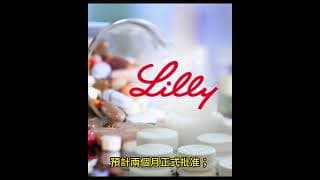 美股晶片和存儲也相對回吐，軟件和保健板塊逆勢大漲，盤中看跌期權信號分別對應 特斯拉，SPACEX兩倍做多ETF，SNDK兩倍做多ETF　盈透（IBKR）！轉倉和開戶獎勵 Moomoo 老虎