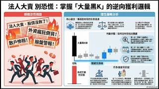AI談舊片: 法人大賣反而是作多的訊號?